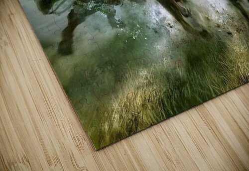 2827 mohamed elabari puzzle