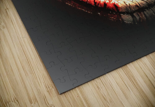2837 mohamed elabari puzzle