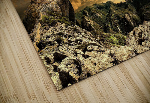 2842 mohamed elabari puzzle