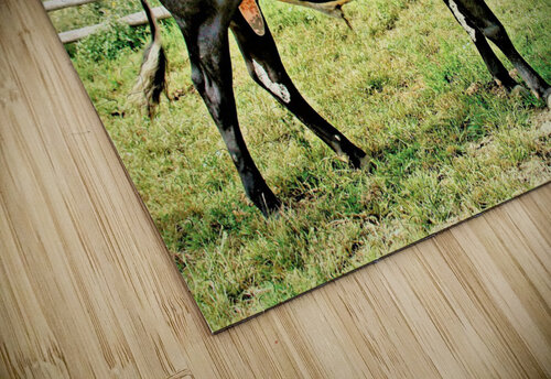 2847 mohamed elabari puzzle