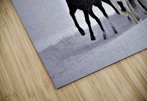 2862 mohamed elabari puzzle