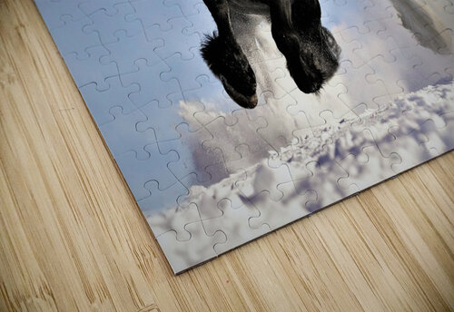 2892 mohamed elabari puzzle
