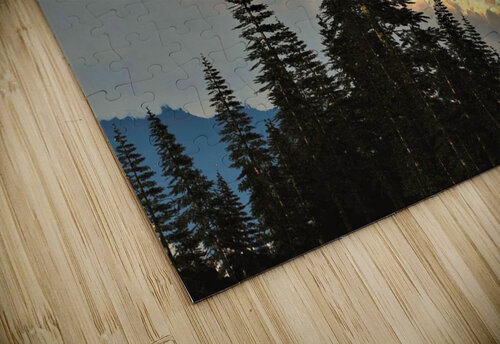2894 mohamed elabari puzzle