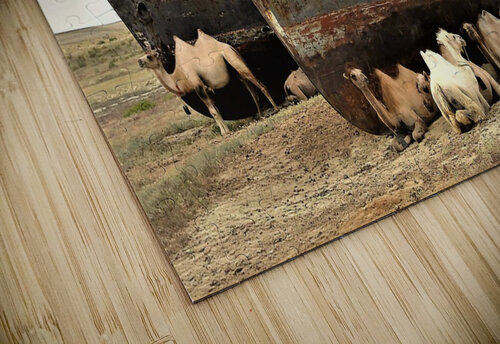 2908 mohamed elabari puzzle