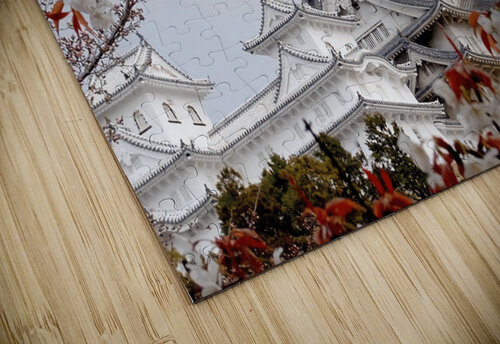 2991 mohamed elabari puzzle