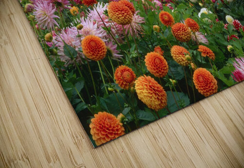 3054 mohamed elabari puzzle