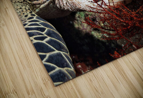 3063 mohamed elabari puzzle