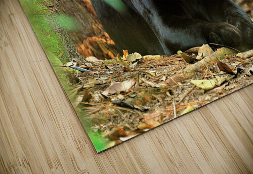 3073 mohamed elabari puzzle
