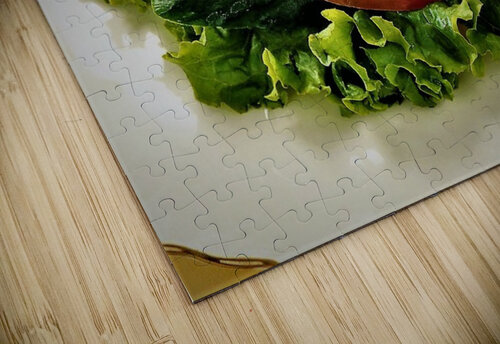 3166 mohamed elabari puzzle