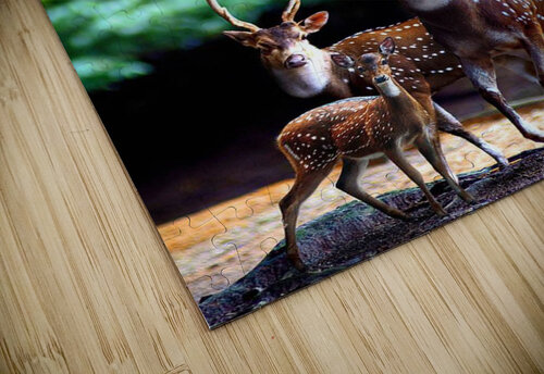 3199 mohamed elabari puzzle