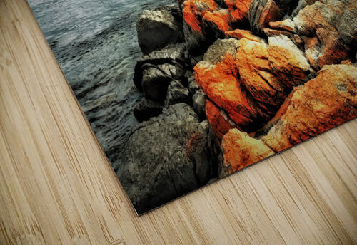 3207 mohamed elabari puzzle