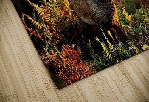 3254 mohamed elabari puzzle