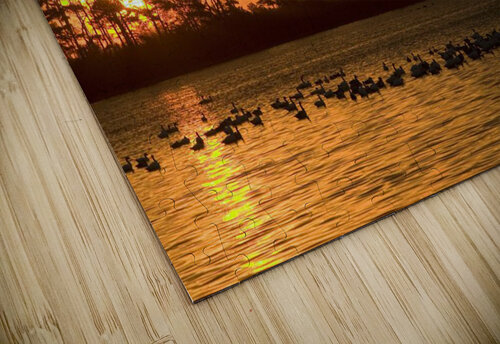 3305 mohamed elabari puzzle