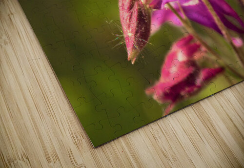 3324 mohamed elabari puzzle