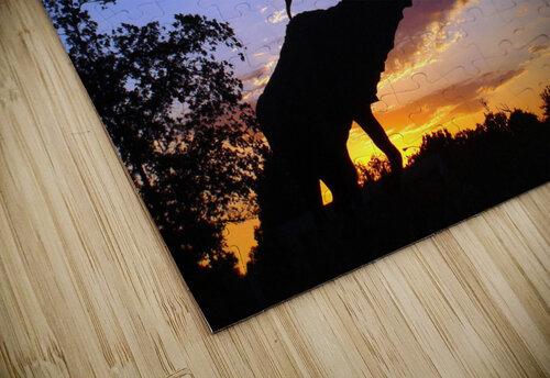 3327 mohamed elabari puzzle