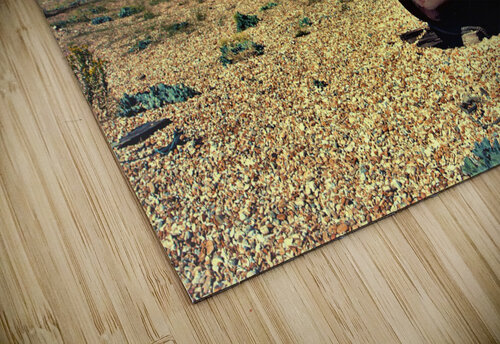 3398 mohamed elabari puzzle