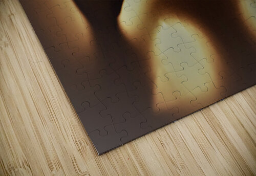 3401 mohamed elabari puzzle