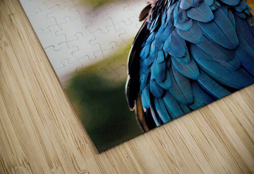 3419 mohamed elabari puzzle