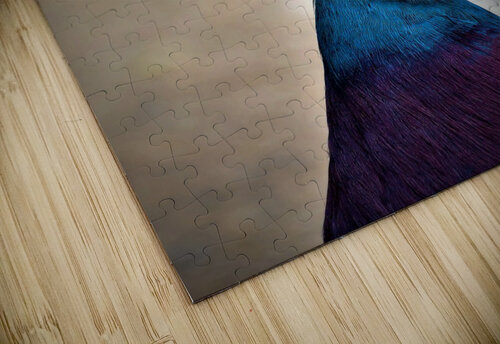 3434 mohamed elabari puzzle
