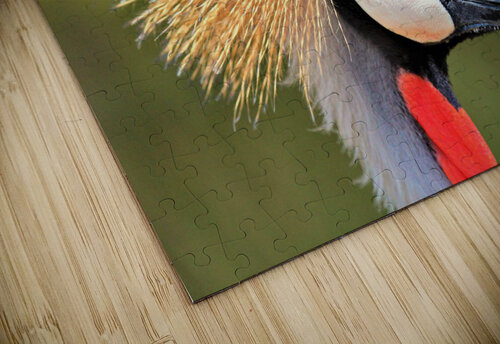 3442 mohamed elabari puzzle