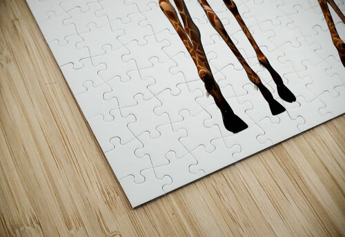 3480 mohamed elabari puzzle