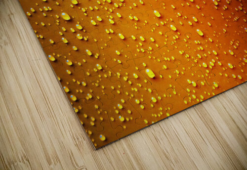 3482 mohamed elabari puzzle