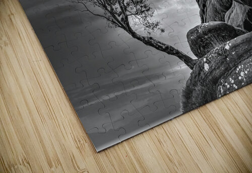 3513 mohamed elabari puzzle