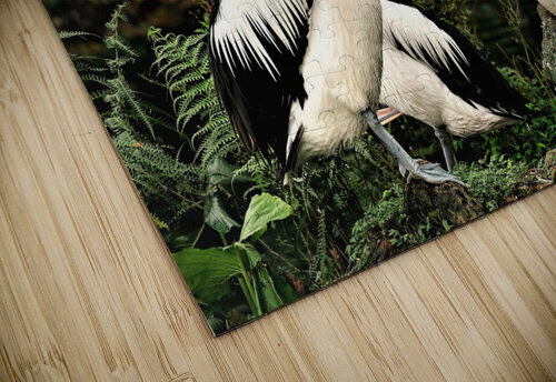 3514 mohamed elabari puzzle