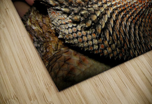 3515 mohamed elabari puzzle
