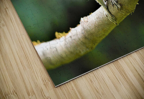 3516 mohamed elabari puzzle
