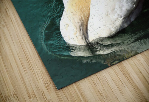 3565 mohamed elabari puzzle