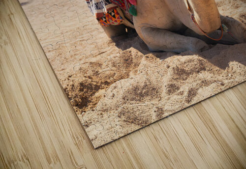 3585 mohamed elabari puzzle