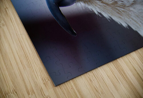 3644 mohamed elabari puzzle