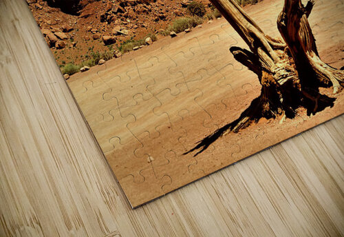 3697 mohamed elabari puzzle