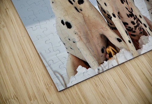 3712 mohamed elabari puzzle
