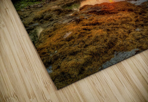 3729 mohamed elabari puzzle