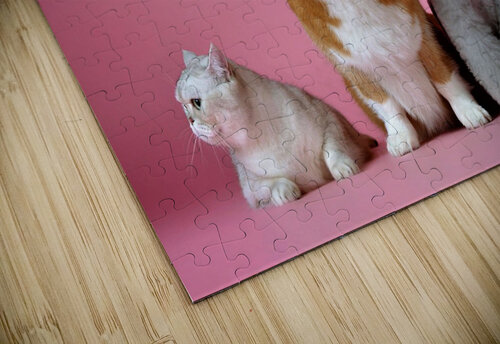 3742 mohamed elabari puzzle