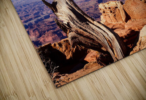3756 mohamed elabari puzzle