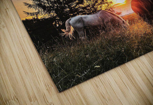 3768 mohamed elabari puzzle