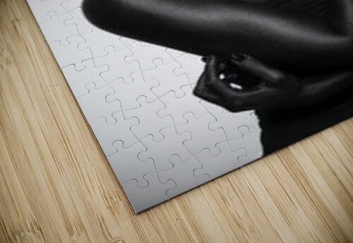 3865 mohamed elabari puzzle