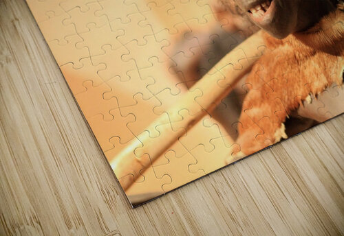 3970 mohamed elabari puzzle