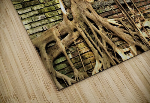 4003 mohamed elabari puzzle