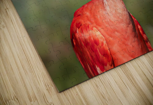 4034 mohamed elabari puzzle