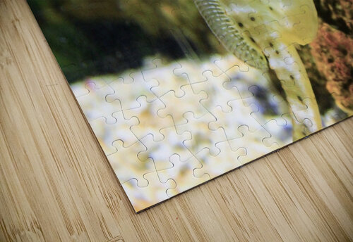 4083 mohamed elabari puzzle
