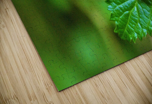 4136 mohamed elabari puzzle