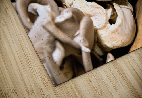 4165 mohamed elabari puzzle