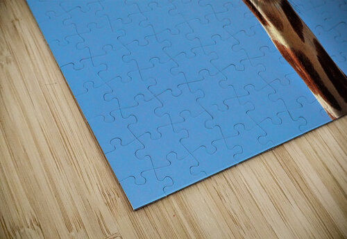 4167 mohamed elabari puzzle