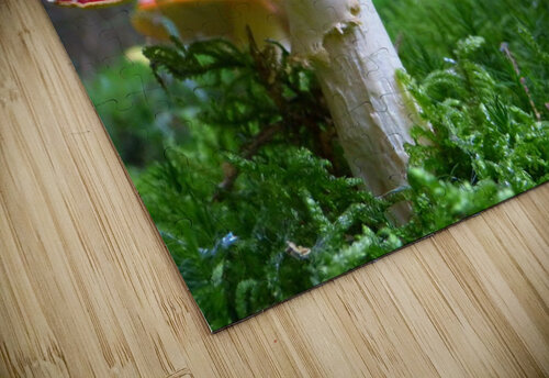 4181 mohamed elabari puzzle