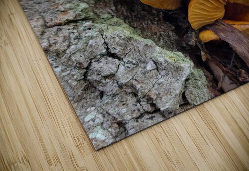 4182 mohamed elabari puzzle