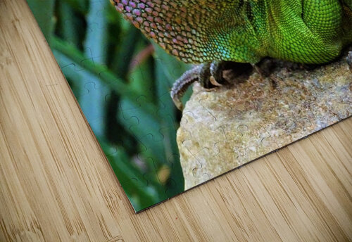 4203 mohamed elabari puzzle